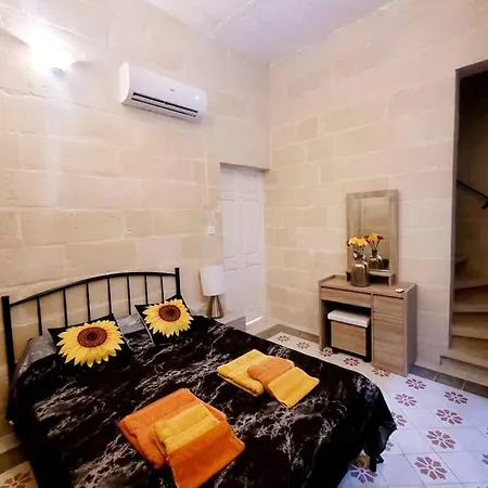 Traditional&unique House